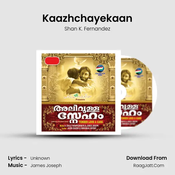 Kaazhchayekaan MP3 Song by Shan K. Fernandez Cover