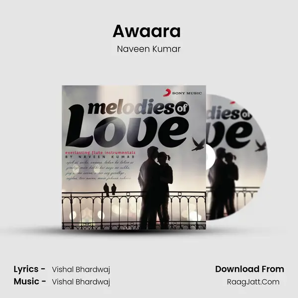 Awaara (Instrumental) MP3 Song by Naveen Kumar Cover