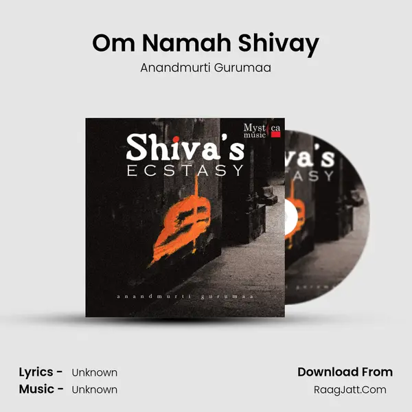 Om Namah Shivay MP3 Song by Anandmurti Gurumaa Cover