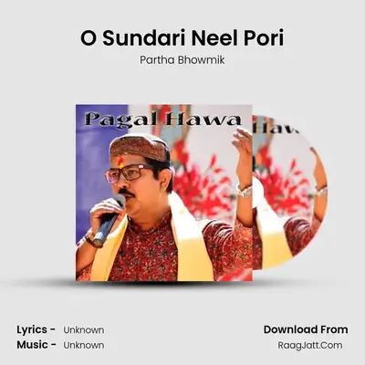 O Sundari Neel Pori MP3 Song by Partha Bhowmik Cover
