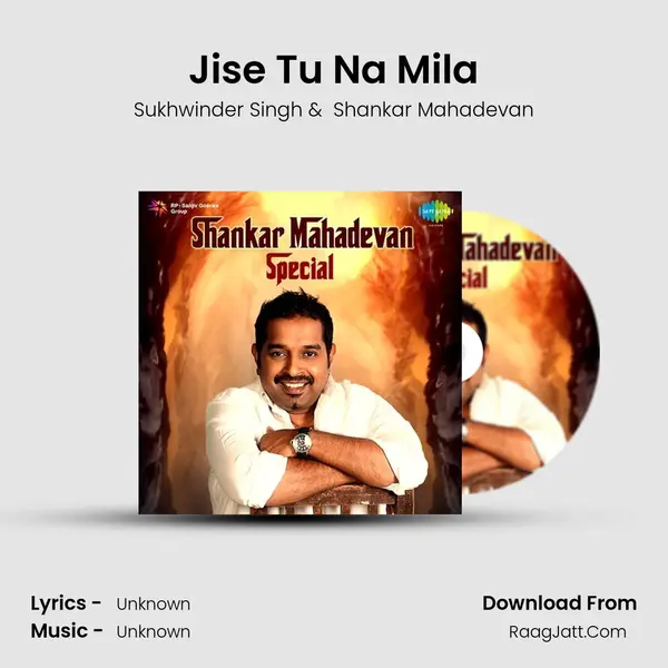 Jise Tu Na Mila Cover