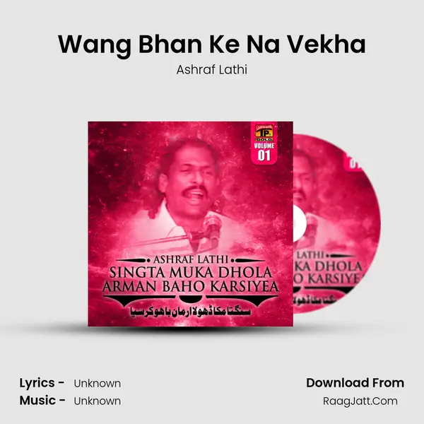 Wang Bhan Ke Na Vekha MP3 Song by Ashraf Lathi Cover