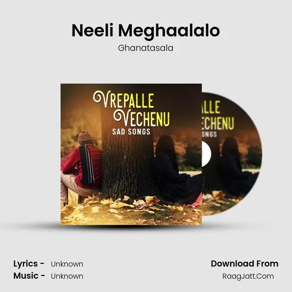 Neeli Meghaalalo Cover