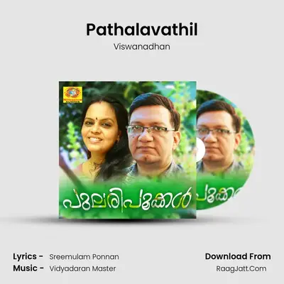 Pathalavathil MP3 Song by Viswanadhan Cover