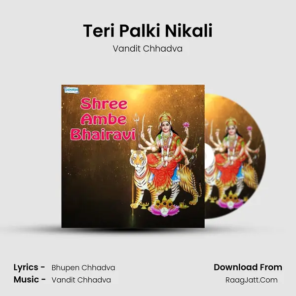 Teri Palki Nikali MP3 Song by Vandit Chhadva Cover