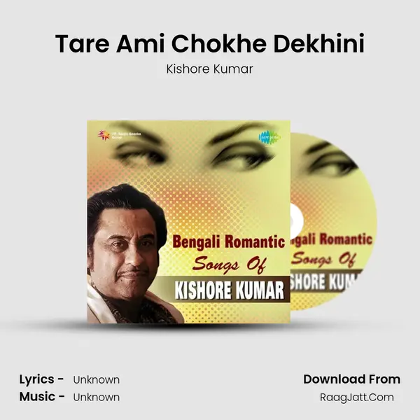 Tare Ami Chokhe Dekhini Cover