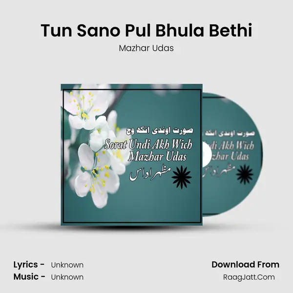 Tun Sano Pul Bhula Bethi mp3 song