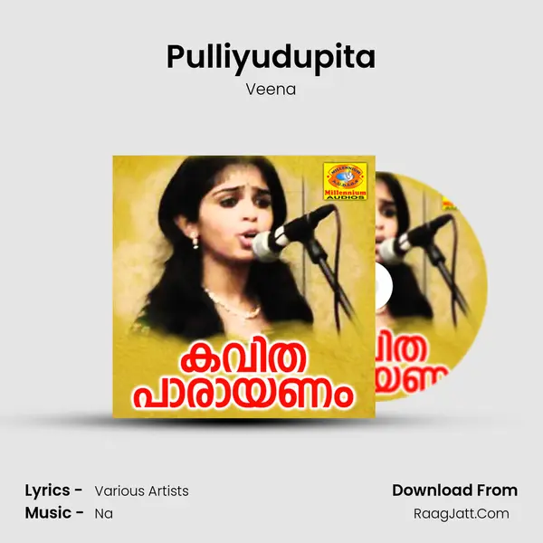 Pulliyudupita MP3 Song by Veena Cover