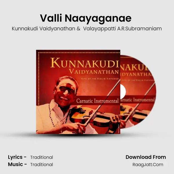 Valli Naayaganae (Violin &amp; Thavil) mp3 song