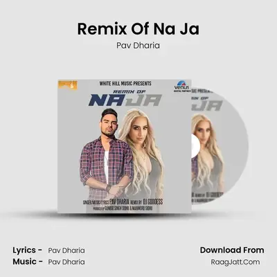 Remix Of Na Ja MP3 Song by Pav Dharia Cover