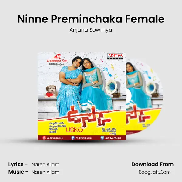 Ninne Preminchaka Female MP3 Song by Anjana Sowmya Cover