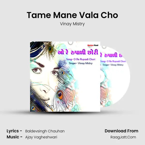 Tame Mane Vala Cho mp3 song