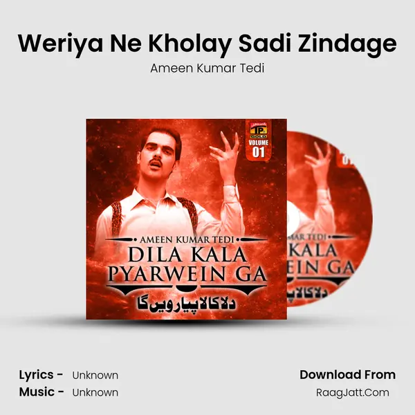 Weriya Ne Kholay Sadi Zindage MP3 Song by Ameen Kumar Tedi Cover