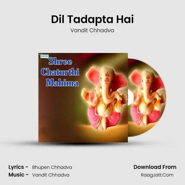 Dil Tadapta Hai MP3 Song by Vandit Chhadva Cover
