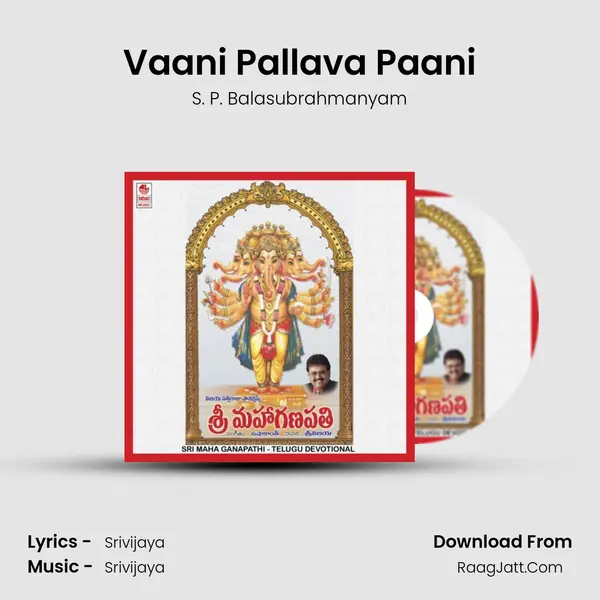 Vaani Pallava Paani MP3 Song by S. P. Balasubrahmanyam Cover