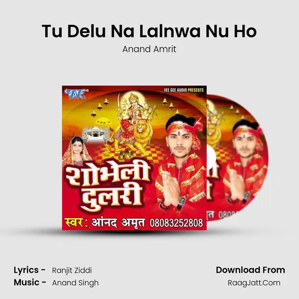 Tu Delu Na Lalnwa Nu Ho MP3 Song by Anand Amrit Cover