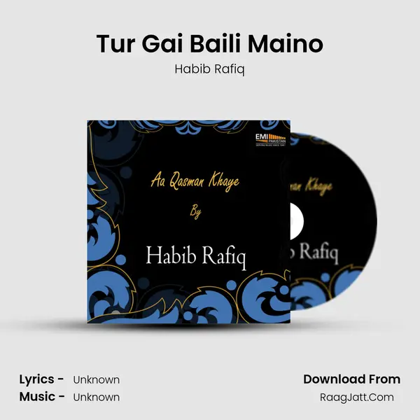 Tur Gai Baili Maino MP3 Song by Habib Rafiq Cover