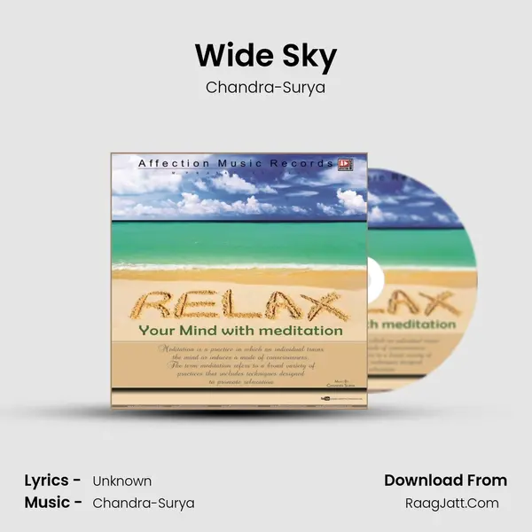 Wide Sky MP3 Song by Chandra-Surya Cover