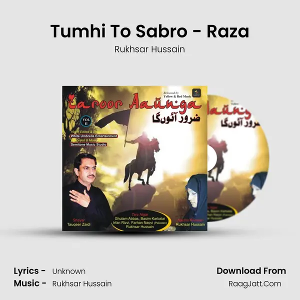 Tumhi To Sabro - Raza mp3 song