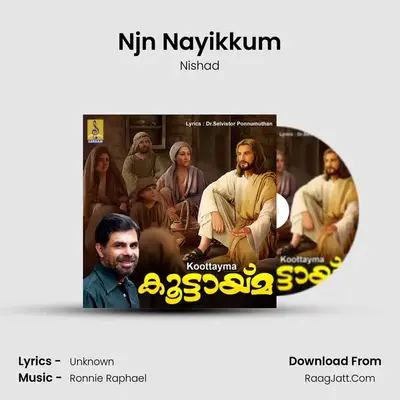 Njn Nayikkum MP3 Song by Nishad Cover