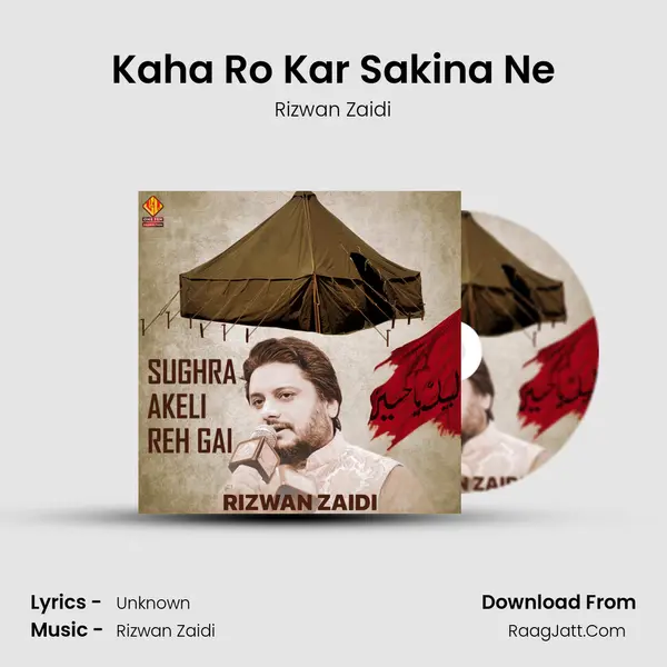 Kaha Ro Kar Sakina Ne MP3 Song by Rizwan Zaidi Cover