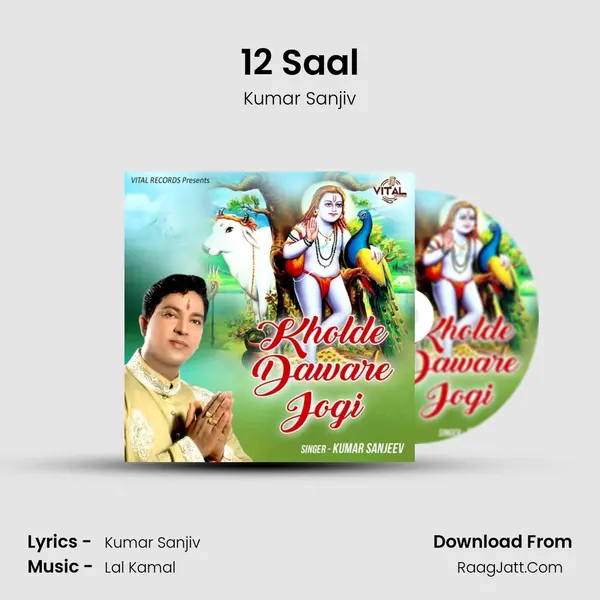 12 Saal Cover