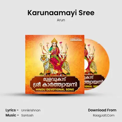 Karunaamayi Sree MP3 Song by Arun Cover