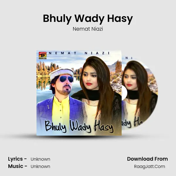 Bhuly Wady Hasy MP3 Song by Nemat Niazi Cover