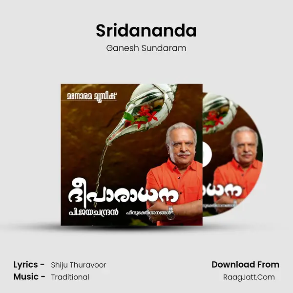 Sridananda MP3 Song by Ganesh Sundaram Cover