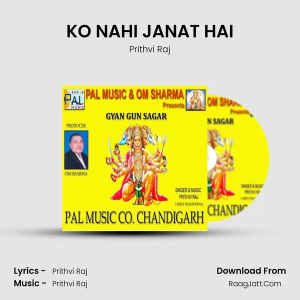 KO NAHI JANAT HAI MP3 Song by Prithvi Raj Cover