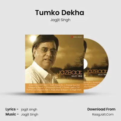 Tumko Dekha (Edited) MP3 Song by Jagjit Singh Cover