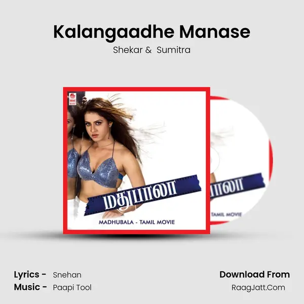 Kalangaadhe Manase MP3 Song by Shekar Cover