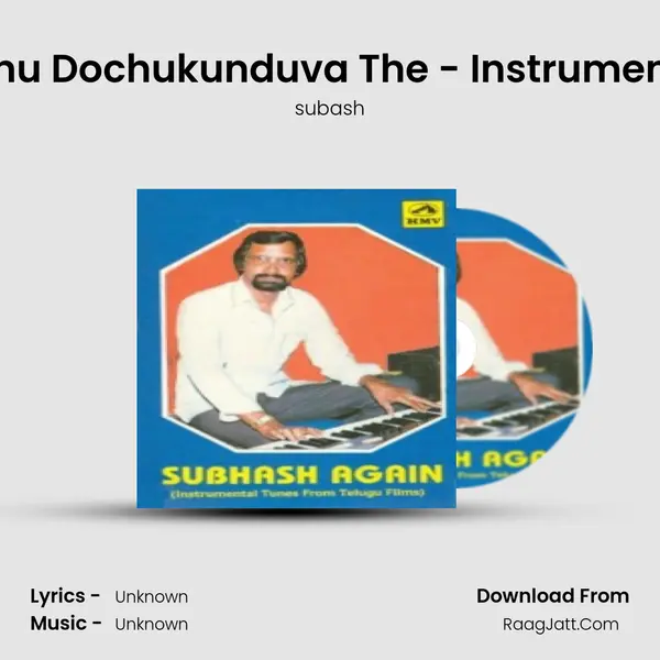 Nanu Dochukunduva The - Instrumental MP3 Song by subash Cover