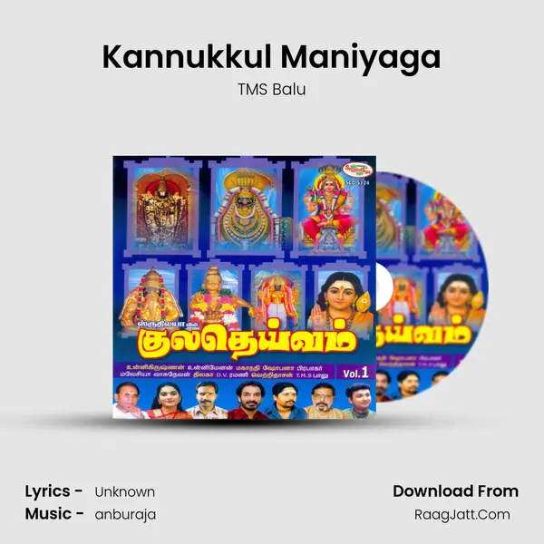 Kannukkul Maniyaga MP3 Song by TMS Balu Cover