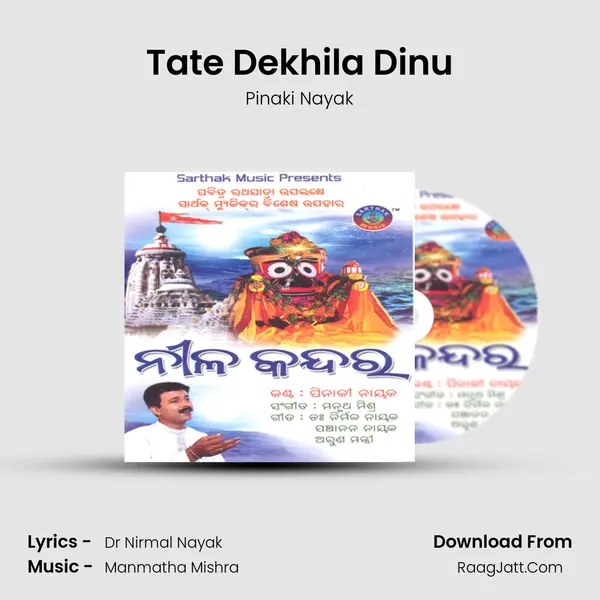 Tate Dekhila Dinu MP3 Song by Pinaki Nayak Cover
