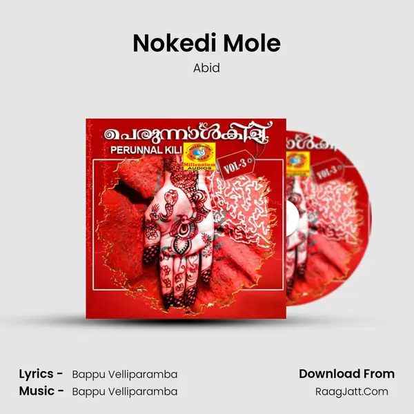Nokedi Mole MP3 Song by Abid Cover