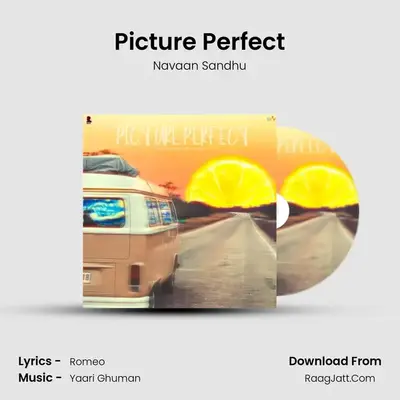 Picture Perfect - Navaan Sandhu