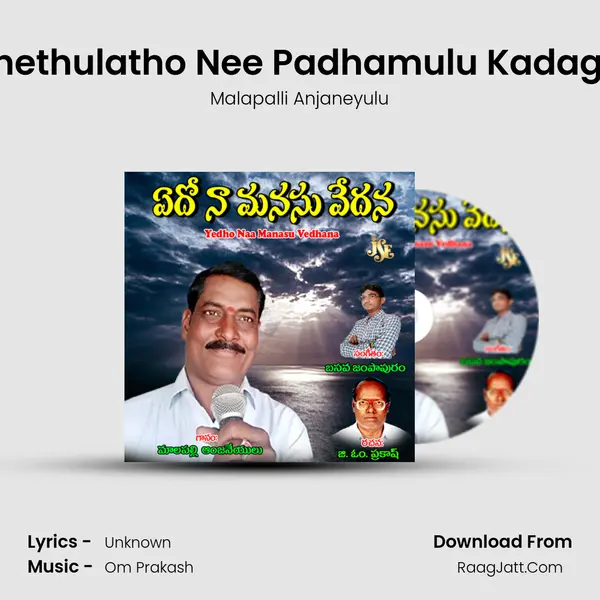 Na Chethulatho Nee Padhamulu Kadagalani mp3 song