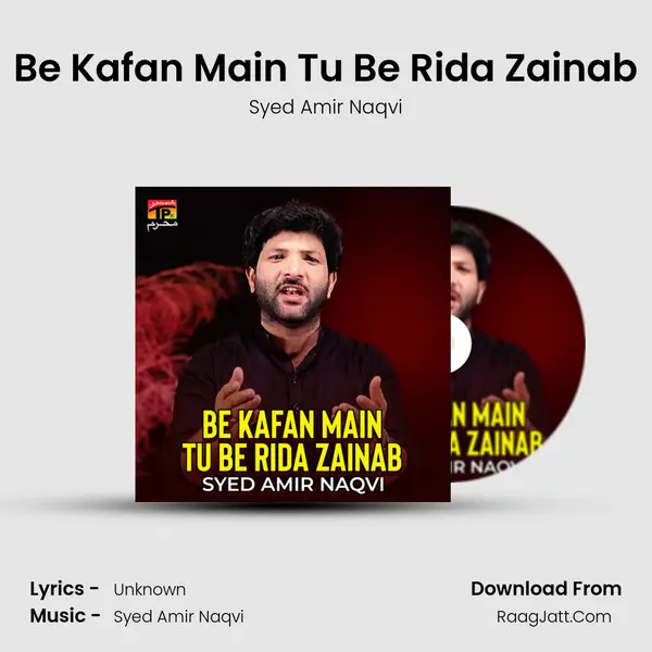 Be Kafan Main Tu Be Rida Zainab - Single - Syed Amir Naqvi