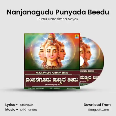 Nanjanagudu Punyada Beedu - Single - Puttur Narasimha Nayak