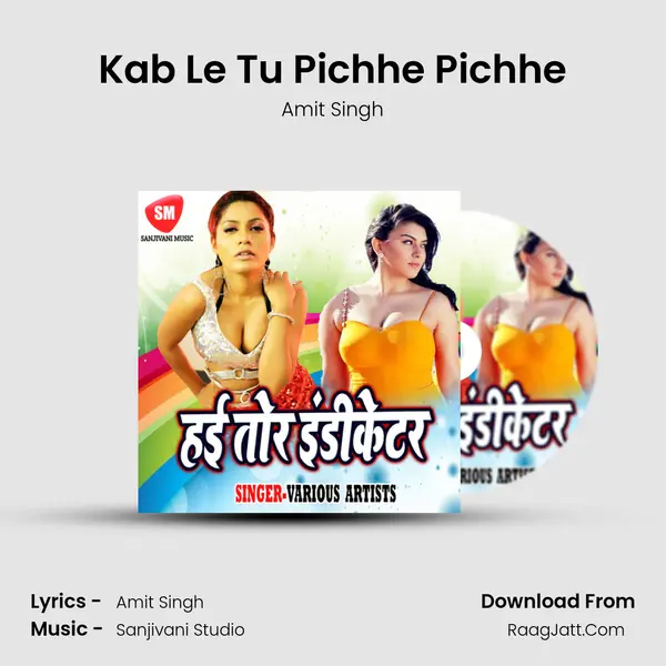 Kab Le Tu Pichhe Pichhe MP3 Song by Amit Singh Cover