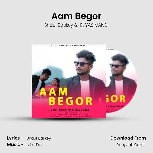 Aam Begor - Shaul Baskey