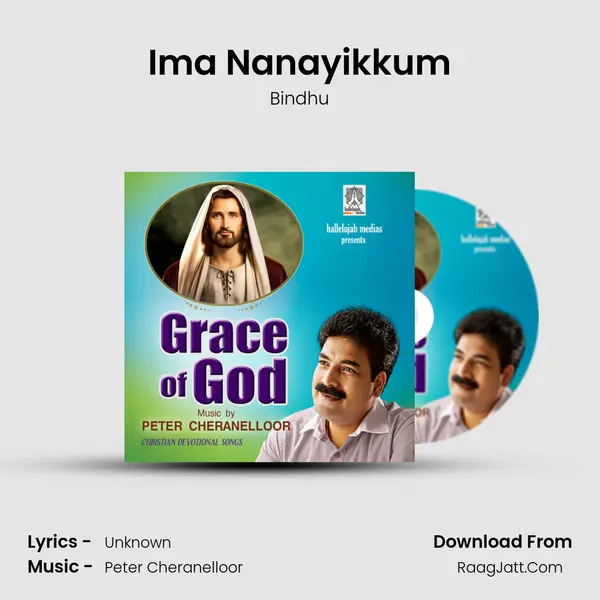 Ima Nanayikkum MP3 Song by Bindhu Cover