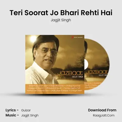 Teri Soorat Jo Bhari Rehti Hai Cover