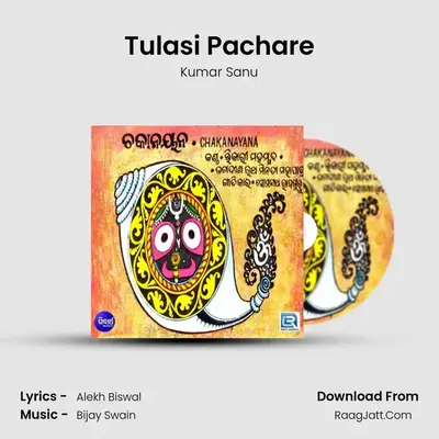 Tulasi Pachare MP3 Song by Kumar Sanu Cover