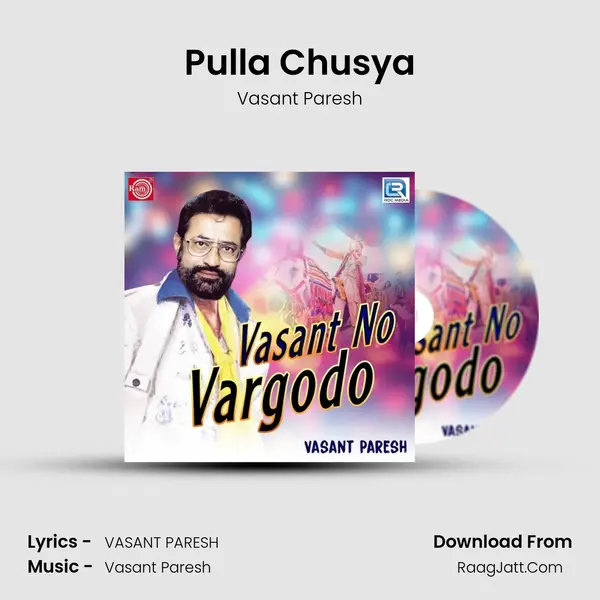 Pulla Chusya MP3 Song by Vasant Paresh Cover