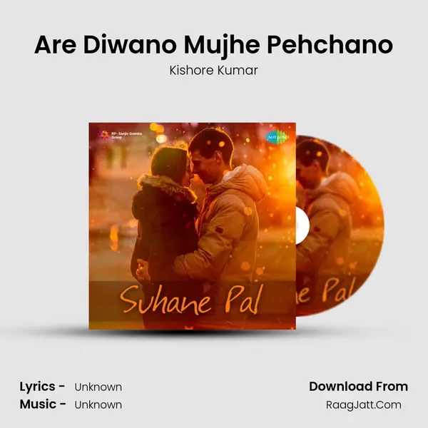 Are Diwano Mujhe Pehchano Cover