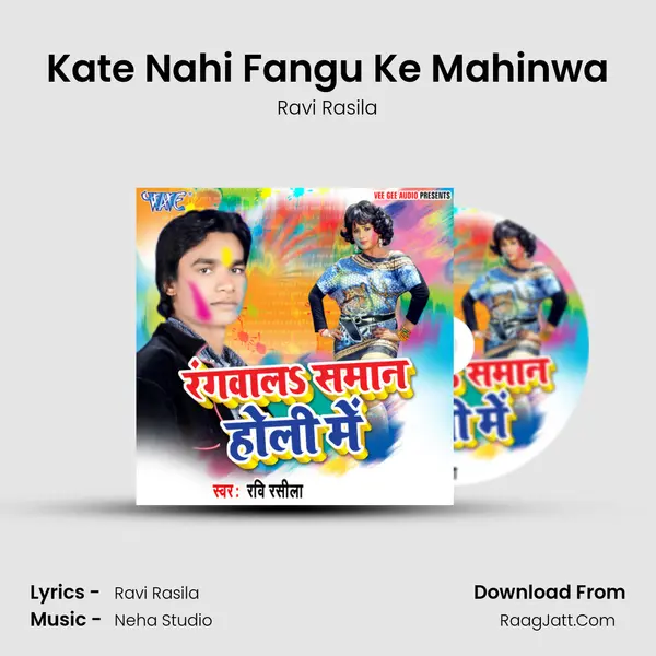 Kate Nahi Fangu Ke Mahinwa MP3 Song by Ravi Rasila Cover