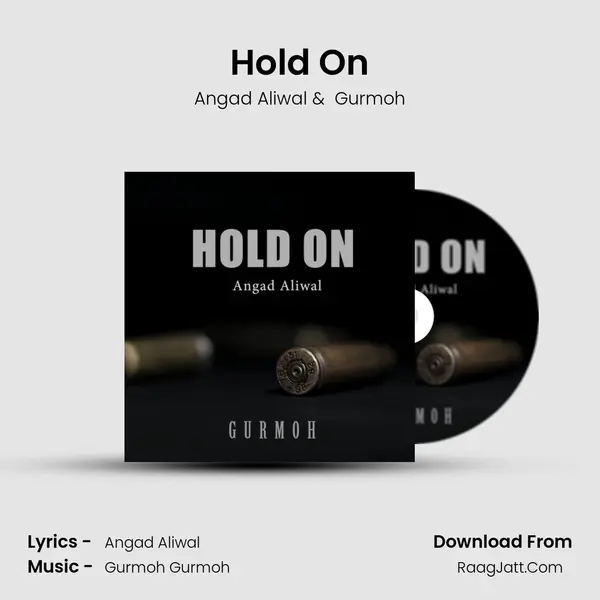 Hold On MP3 Song by Angad Aliwal Cover