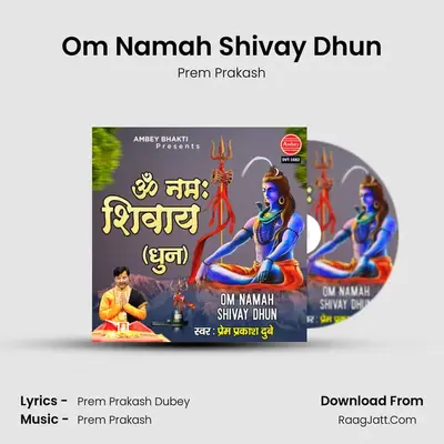 Om Namah Shivay Dhun mp3 song